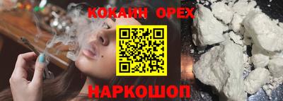 Альфа ПВП Малгобек