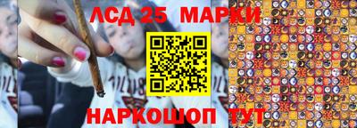 Альфа ПВП Малгобек